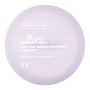 Пудра для лица увлажняющая - VT Cosmetics Cica No Sebum Moisture Powder, 5 г
