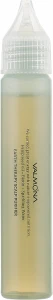 Заспокійлива сироватка для шкіри голови - Valmona Earth Therapy Scalp Purifier, 25 мл
