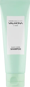 Шампунь для волос с целебными травами - Valmona Ayurvedic Scalp Solution Black Cumin Shampoo, 100 мл