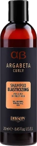 Dikson Шампунь для в'юнкого й кучерявого волосся ArgaBeta Curly Shampoo Elasticizing