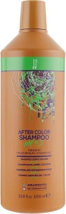 JJ's Закріплювальний шампунь для фарбованого волосся After Color Shampoo PH 4.5