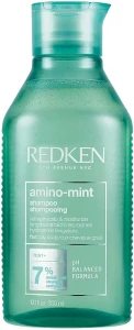 Redken Освіжаючий шампунь для контролю жирності шкіри голови та зволоження волосся по довжині Amino Mint Shampoo