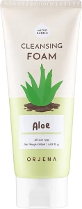 Orjena Очищувальна пінка для обличчя з алое Cleansing Foam Aloe