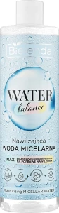 Зволожуюча міцелярна вода для сухої шкіри - Bielenda Water Balance Moisturizing Micellar Water, 400 мл