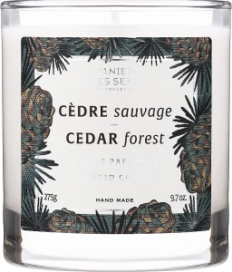 Panier des Sens Ароматична свічка у склянці "Кедровий ліс" Scented Candle Cedar Forest