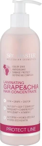 Spa Master Ламинирующий концентрат для защиты волос с виноградом и чиа Laminating Grape & Chia Hair Concentrate