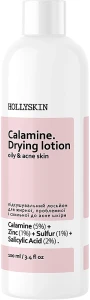Hollyskin Лосьон для жирной, проблемной и подверженной акне кожи Calamine. Drying Lotion