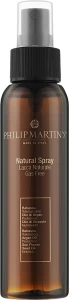 Philip Martin's Натуральний лак без газу середньої фіксації Natural Spray