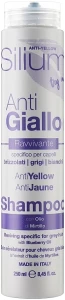 Silium Шампунь для окрашенных волос Anti-Yellow Shampoo