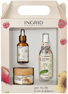 Ingrid Cosmetics Подарунковий набір Ingrid Vegan (f/cr/ml + f/ser/ml + f/ton/ml)