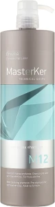 Erayba Шампунь M12 Keratin Detox Shampoo