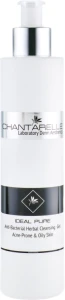 Chantarelle Очищаючий гель для вмивання жирної шкіри Chanterelle Anti-Bacterial Herbal Cleansing Gel
