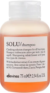 Davines Активно освіжаючий шампунь для глибокого очищення волосся Solu Shampoo