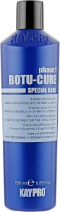 Шампунь для реконструкции волос - KayPro Special Care Botu-Cure Shampoo, 350 мл