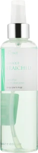 La Grace Освіжаючий тонік для жирної і комбінованої шкіри Face Tonic