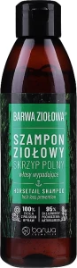 Barwa Шампунь з екстрактом хвоща польового проти випадіння волосся Herbal Horsetail Shampoo