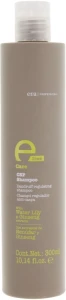 Eva Professional Шампунь для усунення та запобігання появи лупи E-line CSP Dandruff Shampoo