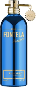 Fontela Blue Spirit Парфюмированная вода