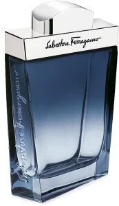 Туалетна вода чоловіча - Salvatore Ferragamo Subtil Pour Homme, 100 мл