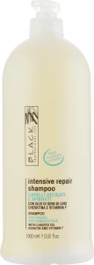 Black Professional Line Відновлювальний шампунь для сухого та ослабленого волосся Revitalising Shampoo
