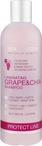 Spa Master Ламинирующий шампунь для защиты волос с виноградом и чиа Laminating Shampoo