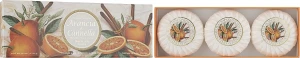 Saponificio Artigianale Fiorentino Набор натурального мыла "Апельсин и Корица" Orange & Cinnamon