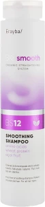 Erayba Шампунь для випрямлення волосся Bio Smooth Smoothing Shampoo BS12