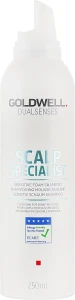 Goldwell Шампунь для чувствительной кожи головы DualSenses Scalp Specialist Sensitive Foam Shampoo