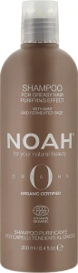 Noah Очищувальний шампунь для волосся Origins Purifying Shampoo For Greasy Hair