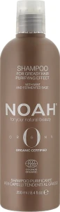 Noah Очищающий шампунь для волос Origins Purifying Shampoo For Greasy Hair