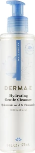 Derma E Зволожувальний засіб для вмивання з гіалуроновою кислотою Hydrating Gentle Cleanser