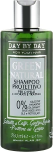 Alan Jey Шампунь "Защита цвета" для окрашенных и поврежденных волос Green Natural Shampoo Protettivo
