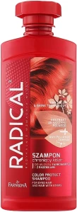 Farmona Шампунь для фарбованого і меліруваного волосся Radical Pro Color & Shine Technology Shampoo