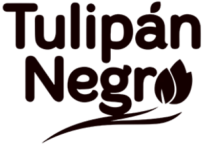 Tulipan Negro Tulipan Negro