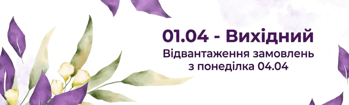 01.04 - Вихідний